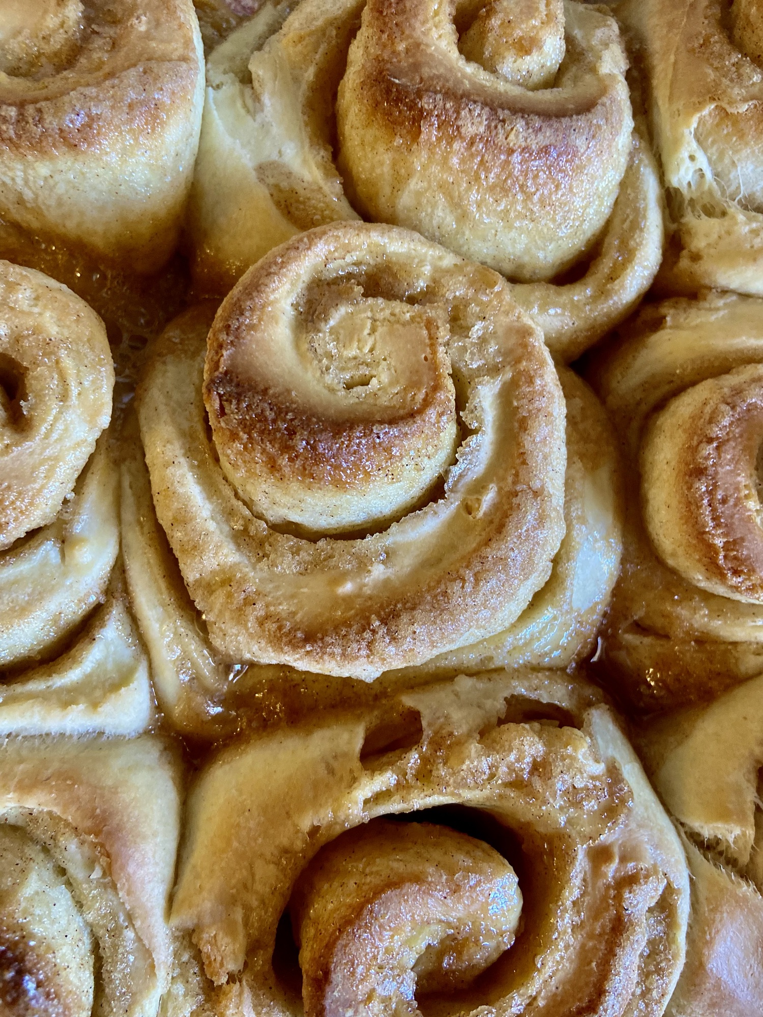 Sourdough Brioche Cinnamon Rolls Recipe High Desert Homemaking
